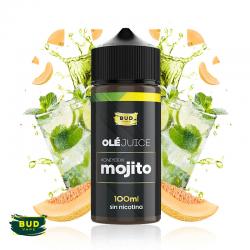 Honeydew Mojito 100ml By Bud Vape