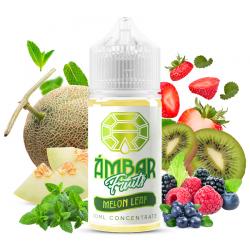 AROMA MELON LEAF 30ML BY AMBAR JUICE FRUITS